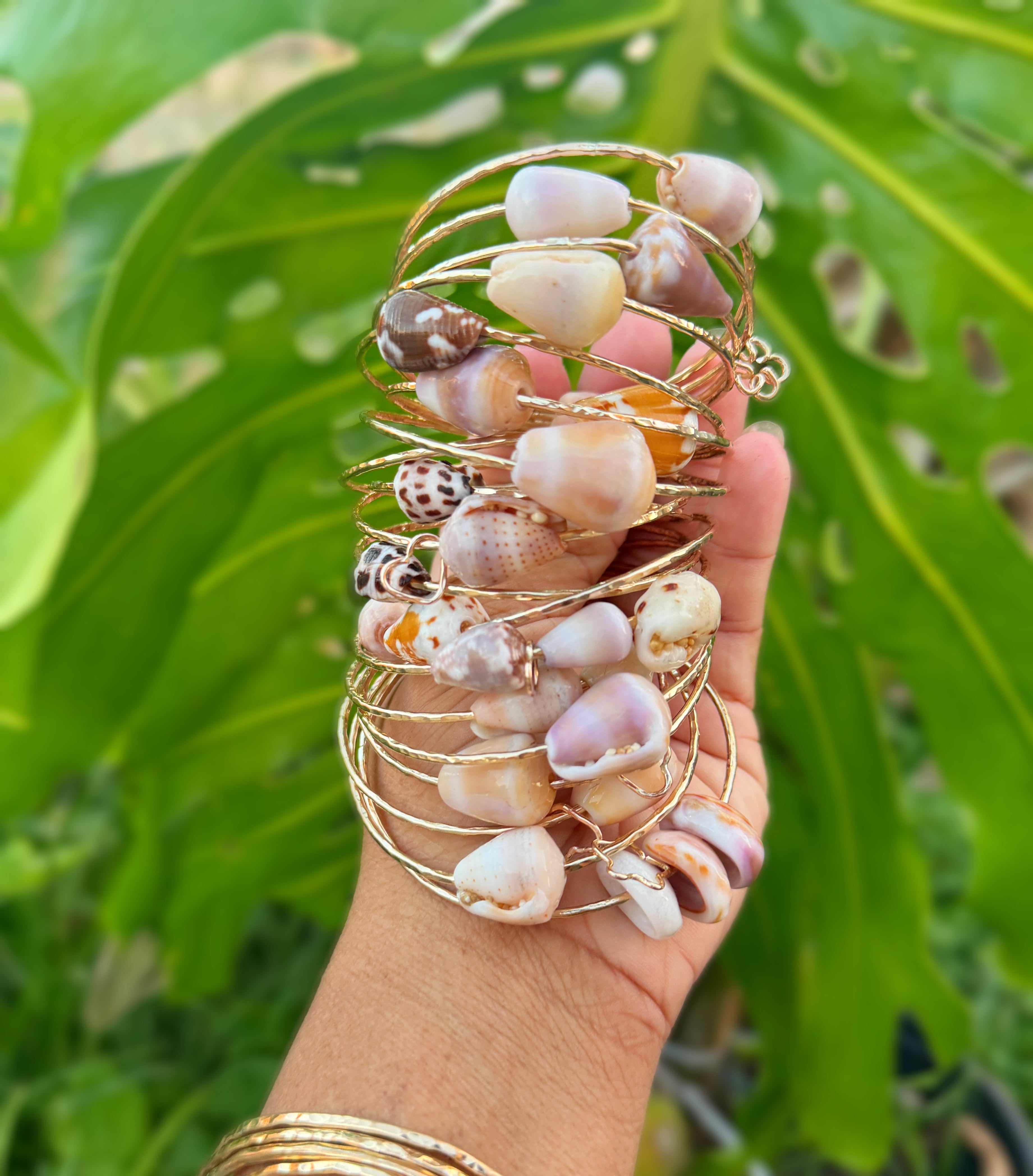 Shell Bangles